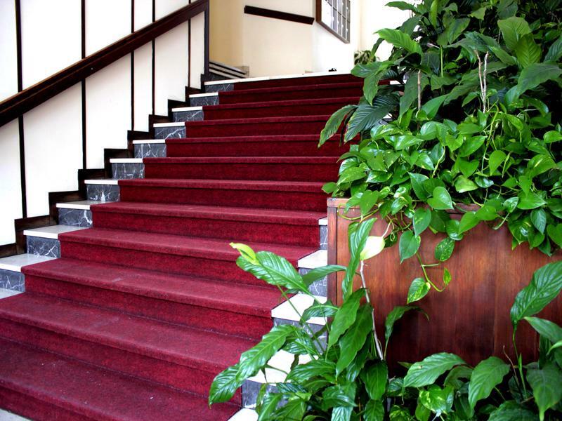 Casa Camilla City بادوفا المظهر الخارجي الصورة